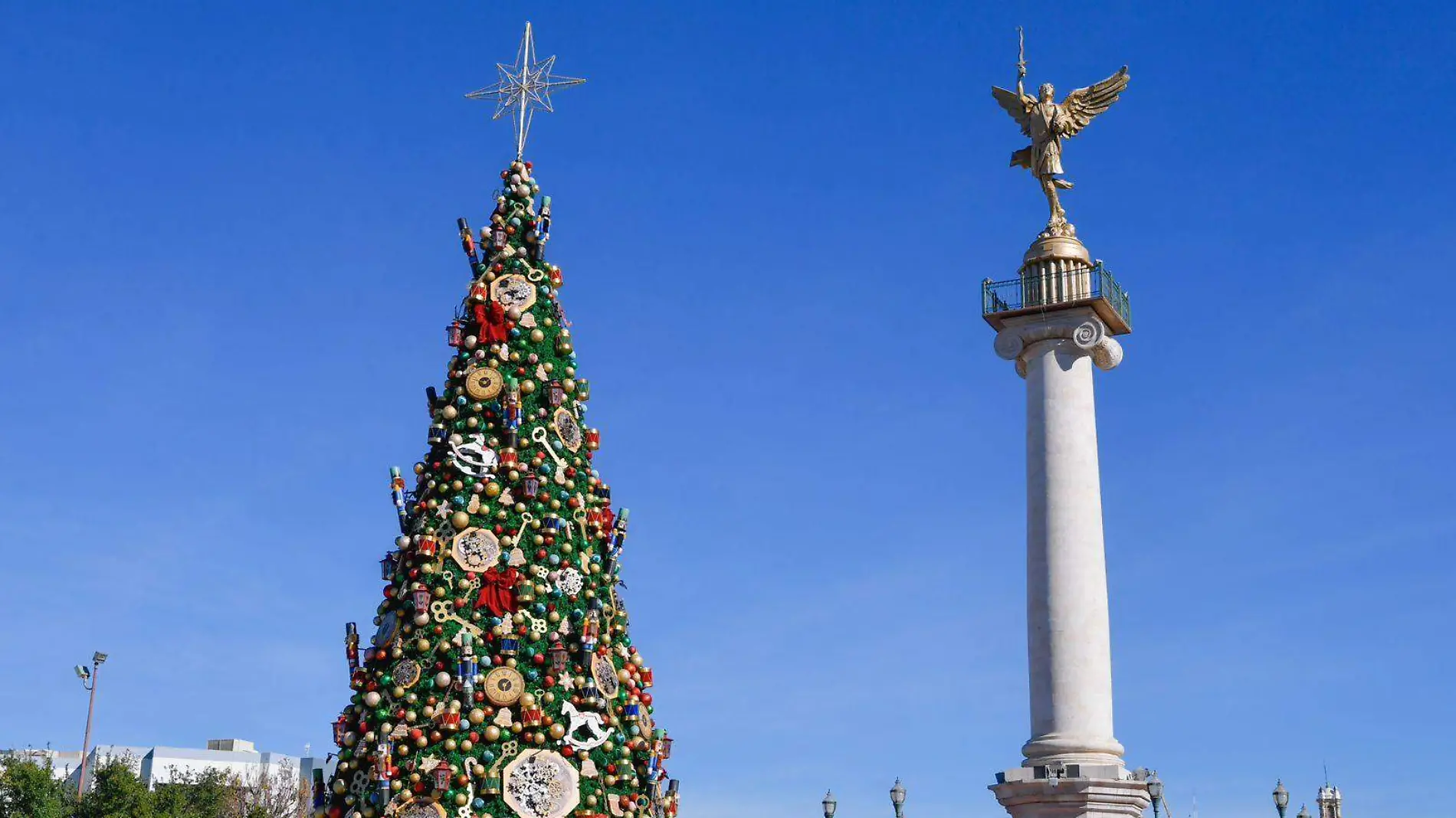 arbol de navidad chihuahua